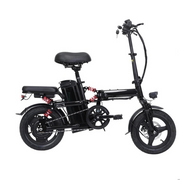 350W Foldable Electric Bike
